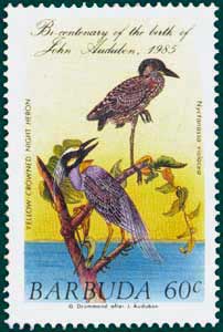 Barbuda (1985) SG # 785, Sc # 703,Yellow-crowned Night Heron (Nycticorax violaceus), Audubon Plate-38