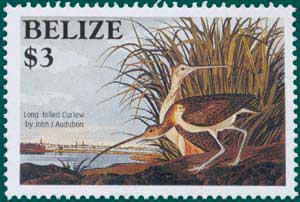 Belize (1985) SG # 825, Sc # 755,Long-billed Curlew (Numenius americanus), Audubon Plate-159
