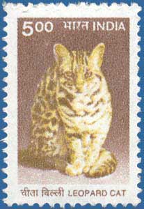 SG # 1928, Leopard Cat