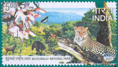 SG # 2407, Mudumalai National Park