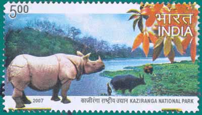 SG # 2410, Kanziranga National Park