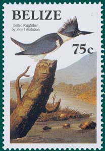 Belize (1985) SG # 823, Sc # 753,Belted Kingfisher (Ceryle alcyon), Audubon Plate-253