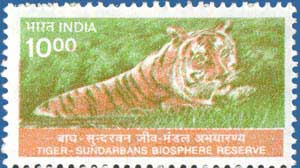 SG # 1929, Tiger - Sundarbans National Biosphere Reserve