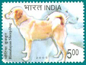 SG # 2253.Himalayan Sheep Dog