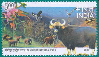 SG # 2406, Bandipur National Park